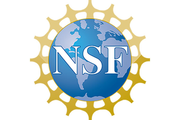 NDS Consortium responds to NSF RFI CI 2030
